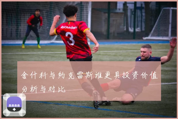 舍什科与约克雷斯谁更具投资价值分析与对比