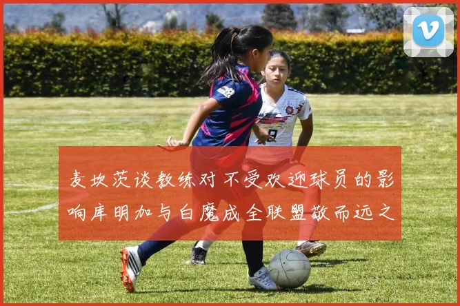 麦坎茨谈教练对不受欢迎球员的影响库明加与白魔成全联盟敬而远之的例证