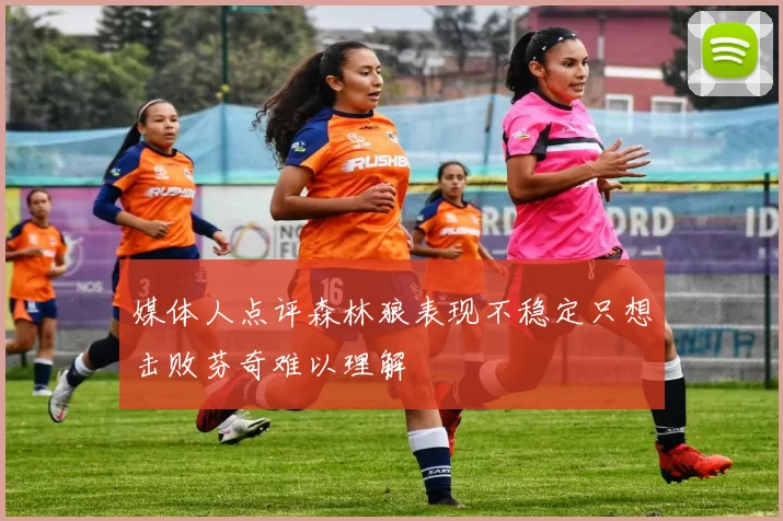 媒体人点评森林狼表现不稳定只想击败芬奇难以理解
