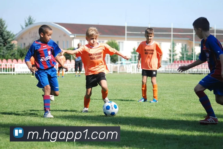 皇冠体育App发展历程